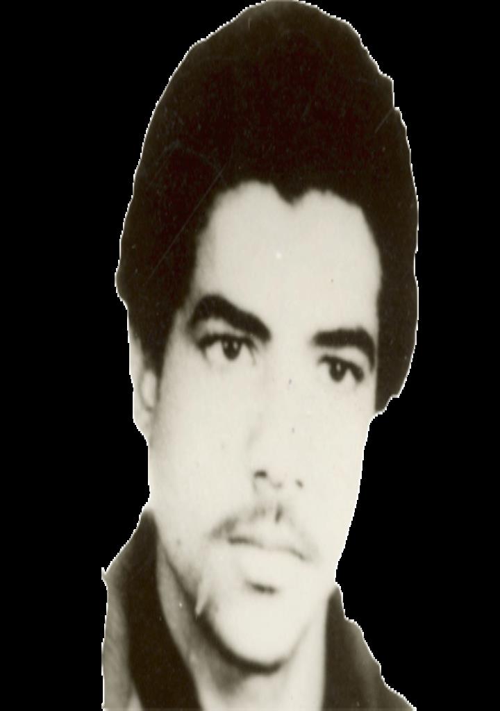 فاقد تصویر